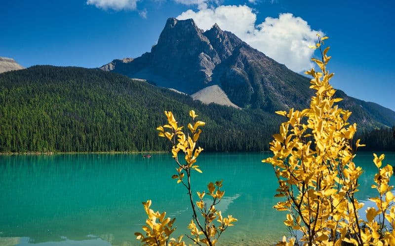 yoho national park