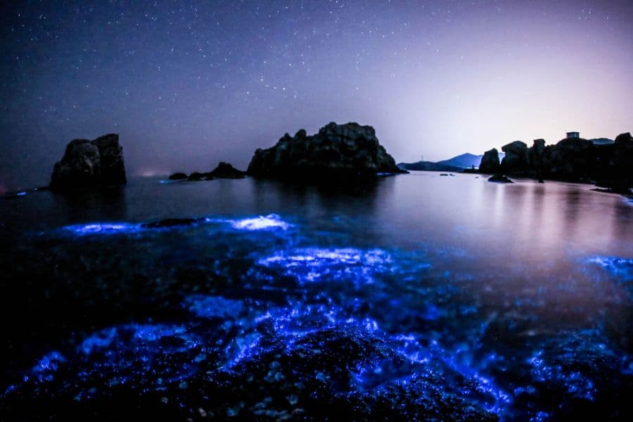 Bioluminescence illuminates sea water glowing blue