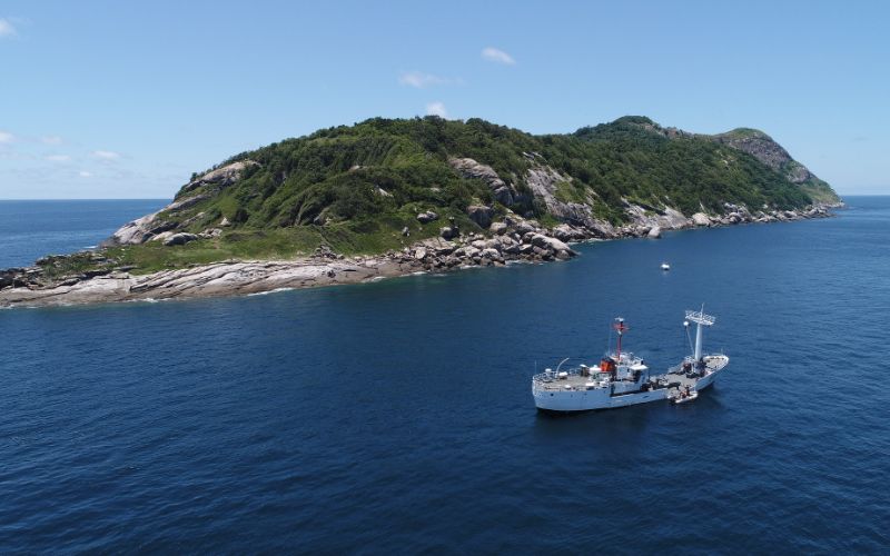 Ilha da Queimada Grande Brazil