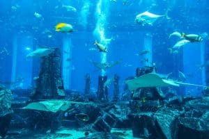 Large aquarium in Hotel Atlantis in Dubai United Arab Emirates