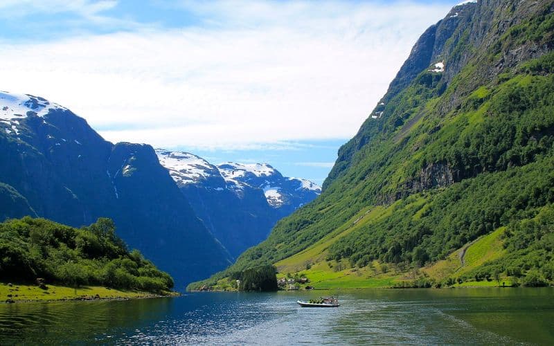 Norweigian Fjords