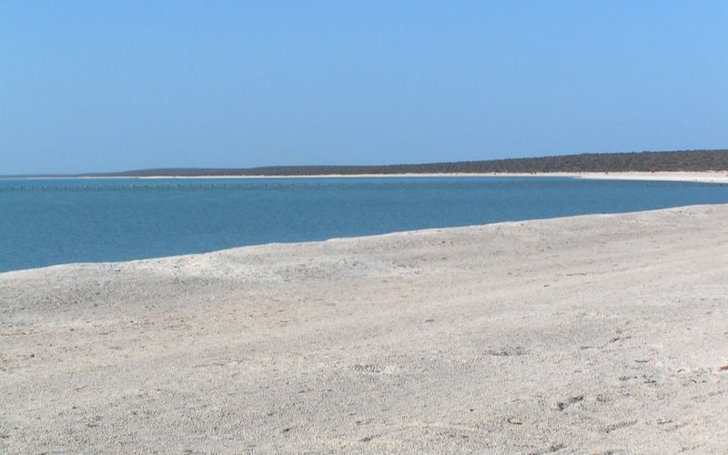 Shell Beach Australia