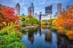 Central Park during Autumn