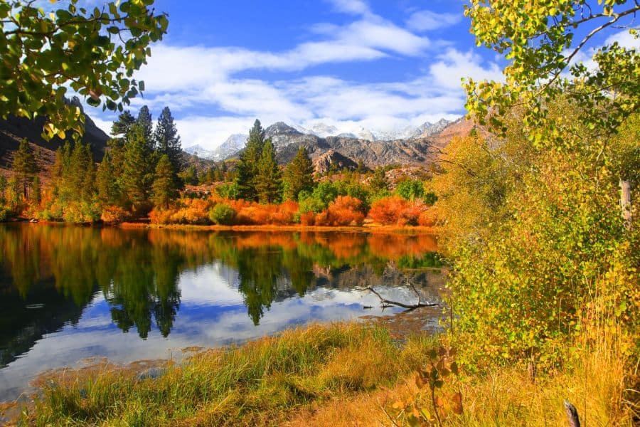 Autumn in eastern Sierra mountains california