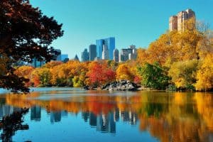 Central Park Autumn foliage