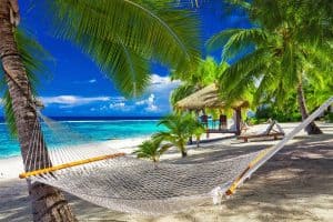 Hammock between palm trees