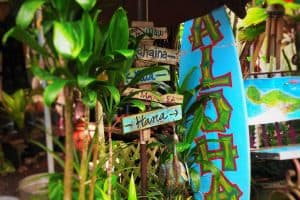 aloha town signs in maui