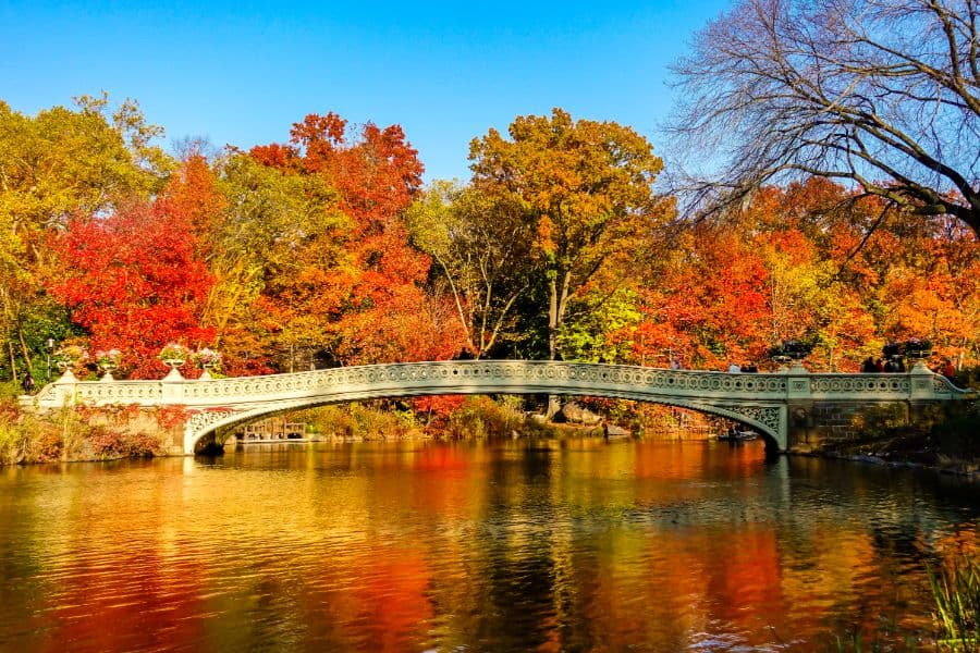 central park nyc during autumn