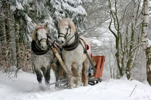 Sleigh ride Horses in Winter sp