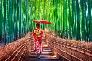 woman wearing japanese traditional kimono at Bamboo Forest in Kyoto Japan