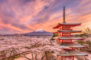 Cherry blossoms in spring Chureito pagoda and Fuji mountain