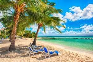 beach in barbados