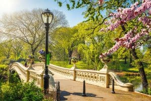 central park in nyc during spring