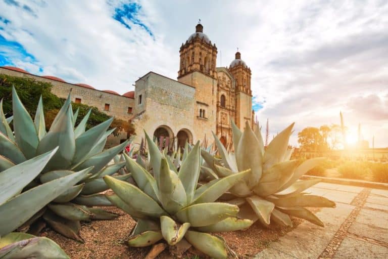 Landmark Santo Domingo Cathedral in historic Oaxaca