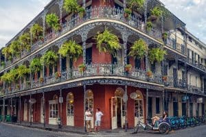 Ferns in the French Quarter sp
