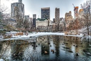 Central Park New York City in winter