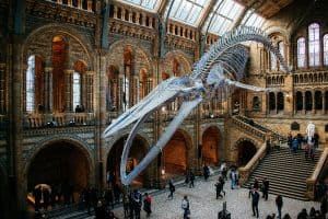 Natural History Museum london sp