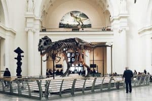 The Field Museum Chicago United States sp