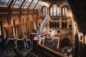 natural history museum London United Kingdom