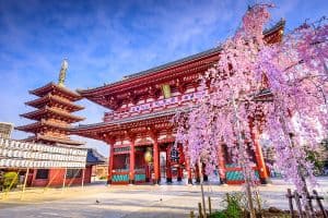 Sensoji Temple tokyo