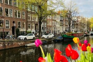 amsterdam canal with tulips sp