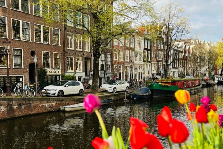 amsterdam canal with tulips sp