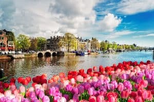 Amstel canal with spring tulips in Amsterdam Netherlands