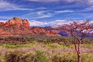 Sedona Arizona Red rocks sp